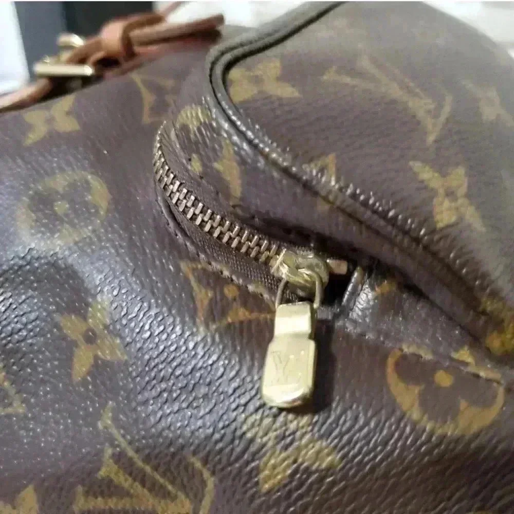 Louis Vuitton Montsouris MM Backpack Monogram